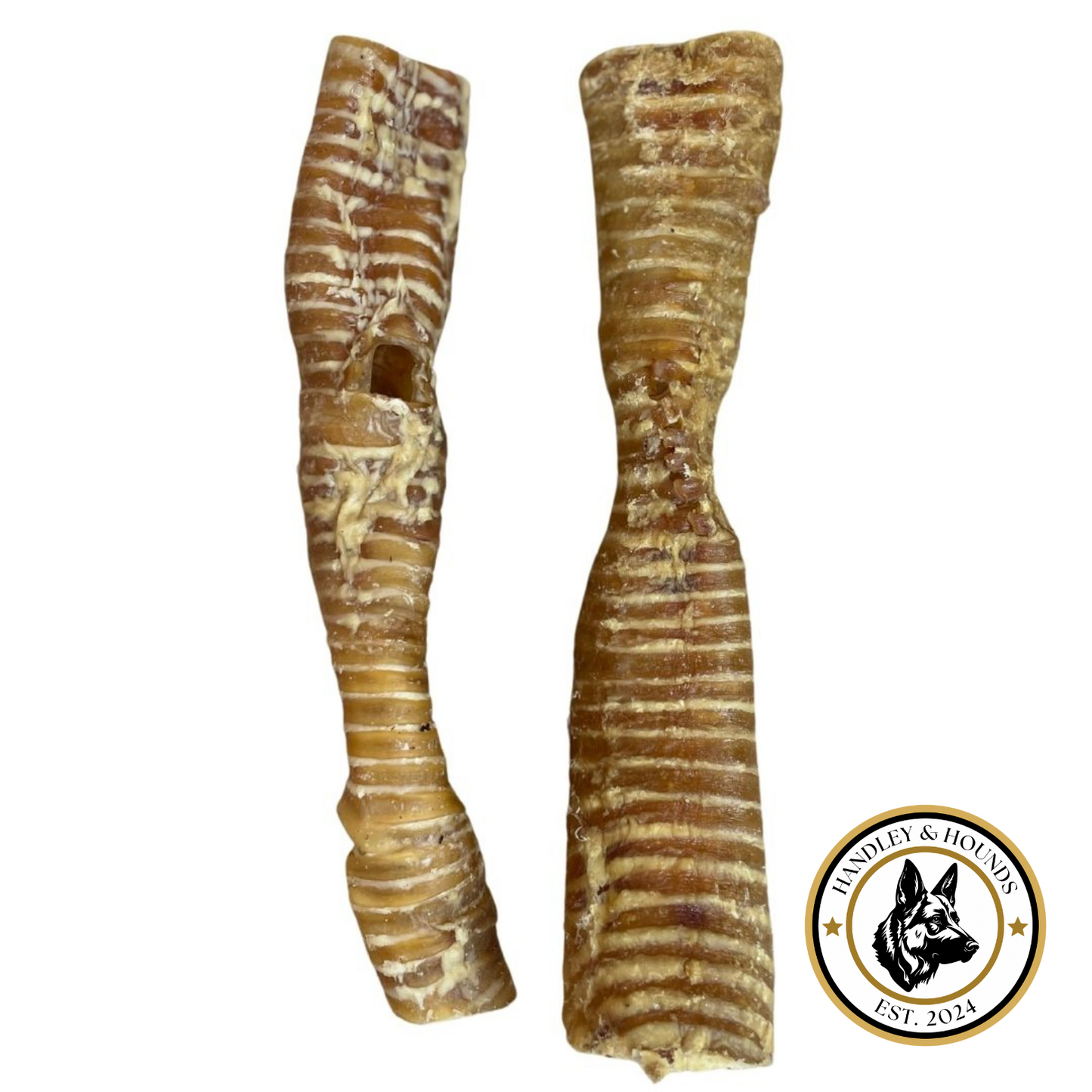 Buffalo Trachea