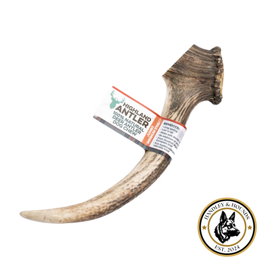 Antler (whole)